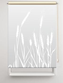 Rollo cereal 24 – lichtgrau, Rollo, Motivrollo, Rollo mit Druck, Fotorollo, bedrucktes Rollo, Fensterrollo,verdunkelndes Rollo, Sonnenschutz Rollo